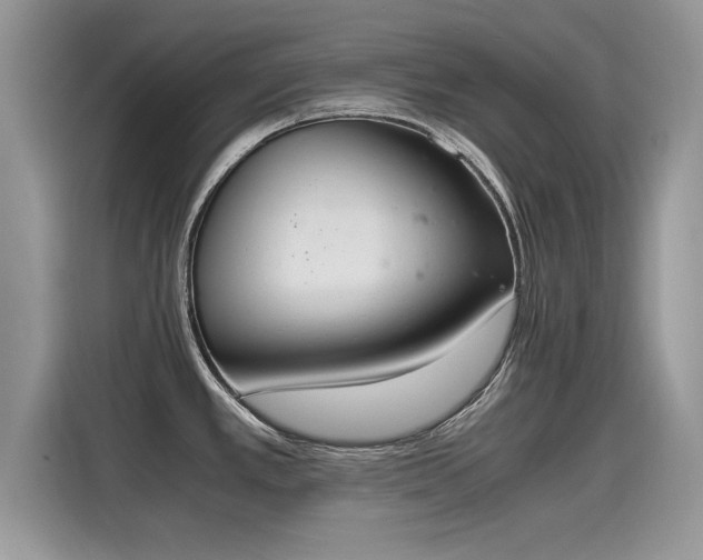 X0000115441389200911121114
