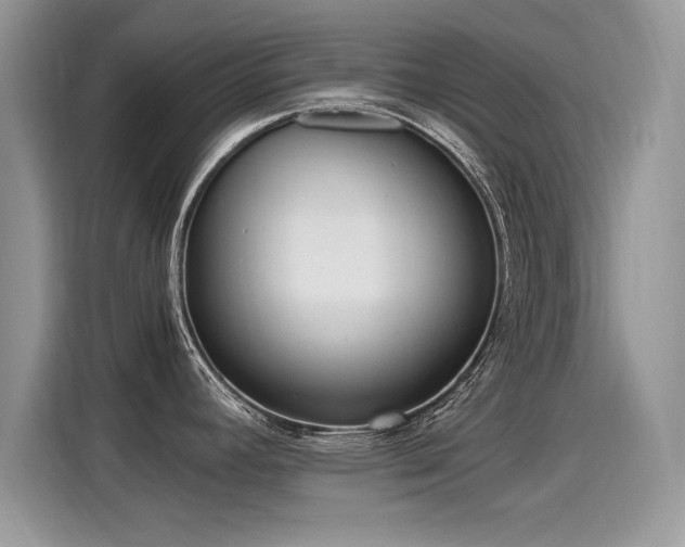 X0000115441392200911121114