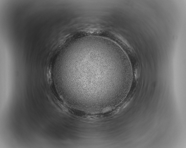 X0000115441396200911121114