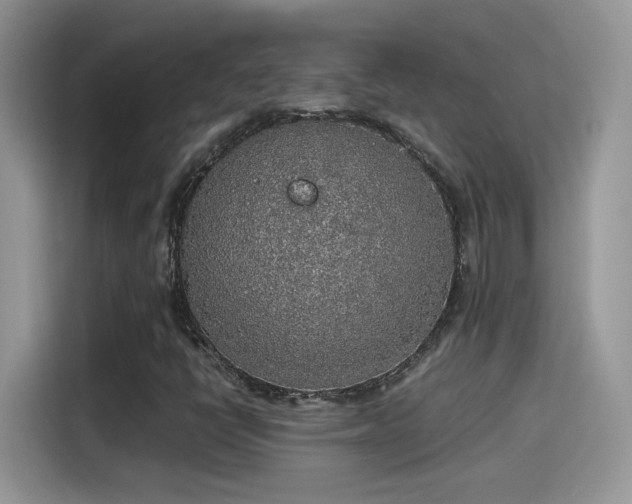 X0000115441398200911121114
