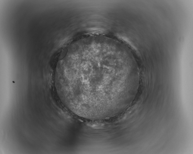 X0000115441399200911121114