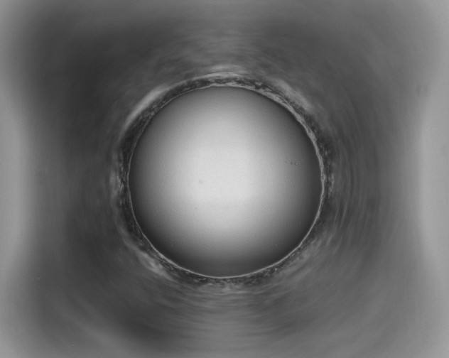 X0000115441400200911121114