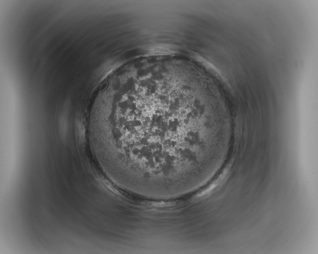 X0000115441401200911121114