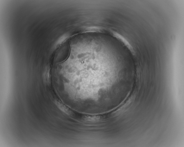 X0000115441403200911121114