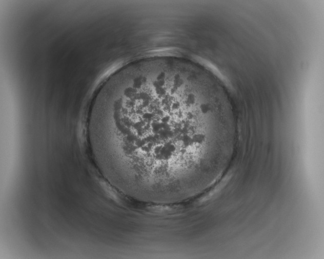 X0000115441405200911121114