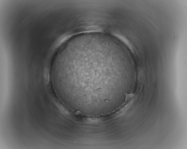X0000115441407200911121114