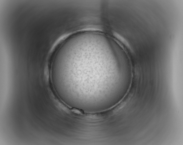 X0000115441408200911121114