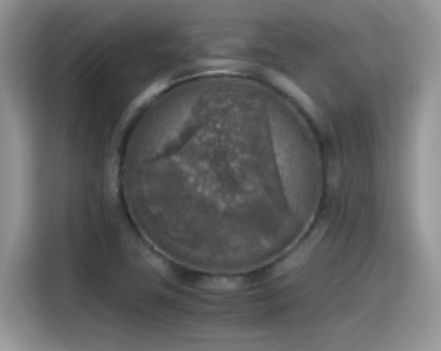 X0000115441411200911121114