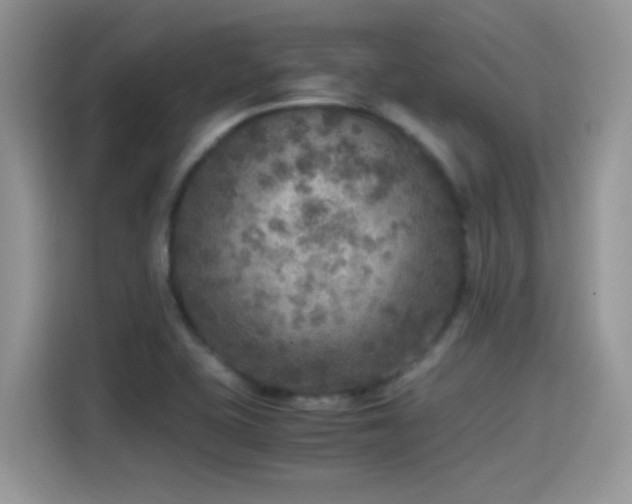X0000115441415200911121114