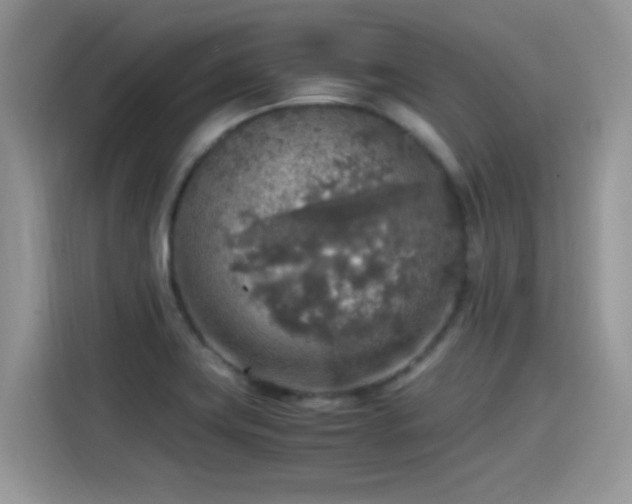 X0000115441419200911121114