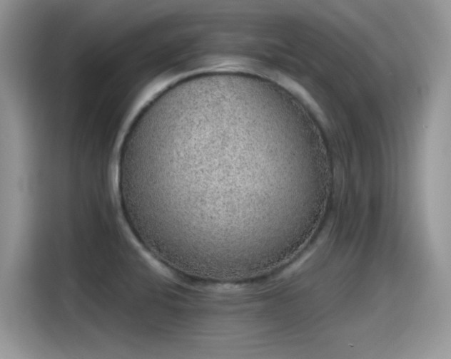 X0000115441424200911121114