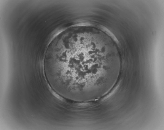 X0000115441425200911121114