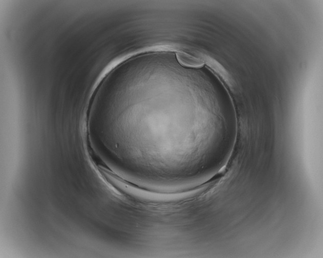 X0000115441428200911121114