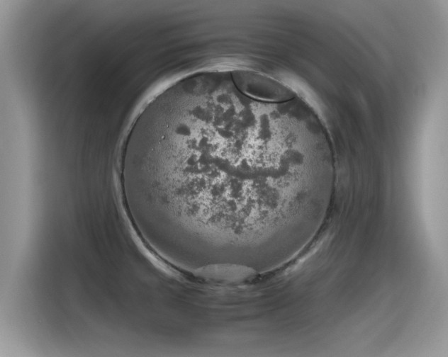 X0000115441429200911121114