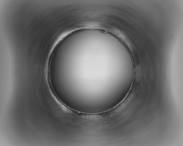 X0000115441432200911121114