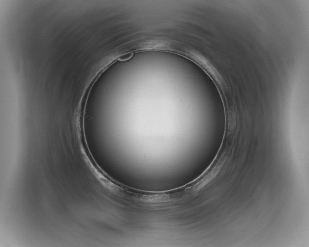 X0000115441434200911121114