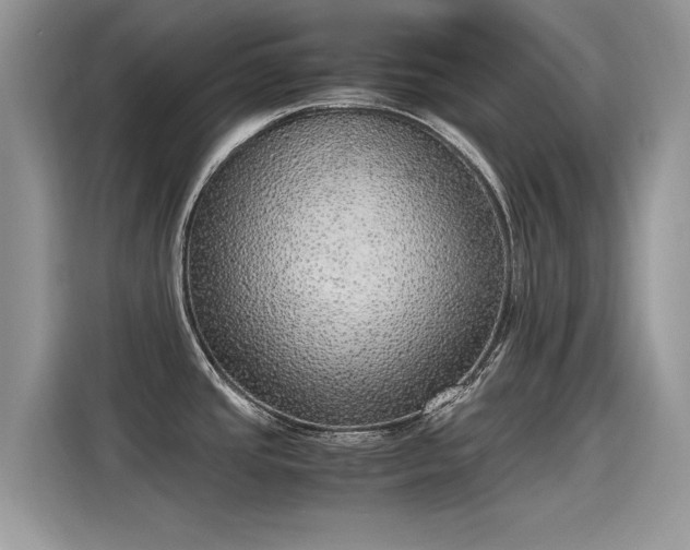 X0000115441437200911121114
