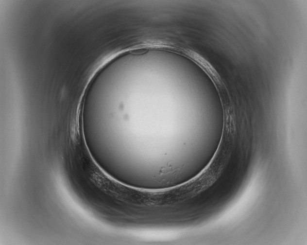 X0000115441439200911121114