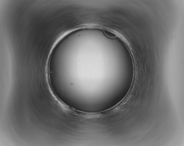 X0000115441440200911121114