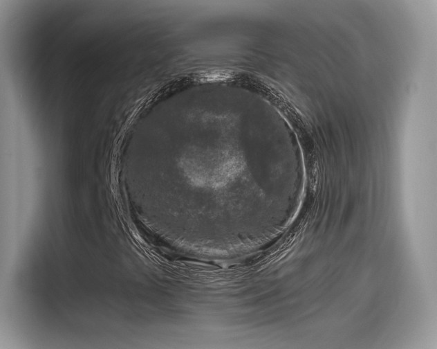 X0000115441441200911121114