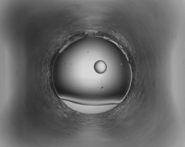 X0000115441445200911121114