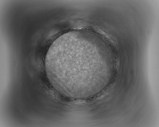 X0000115441446200911121114