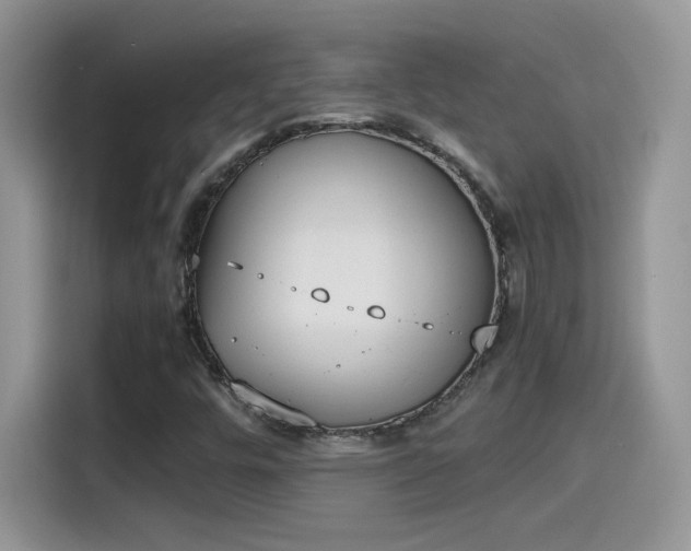 X0000115441448200911121114