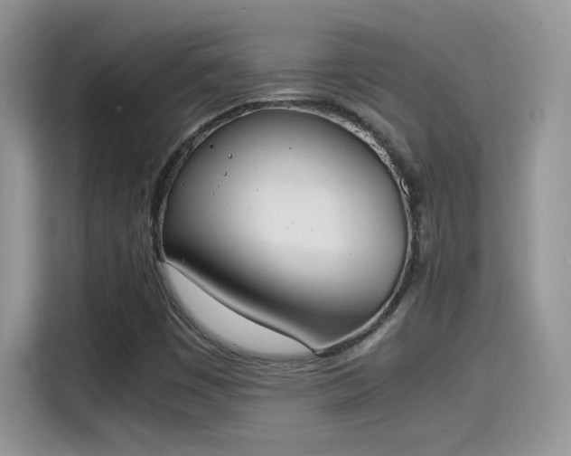 X0000115441449200911121114