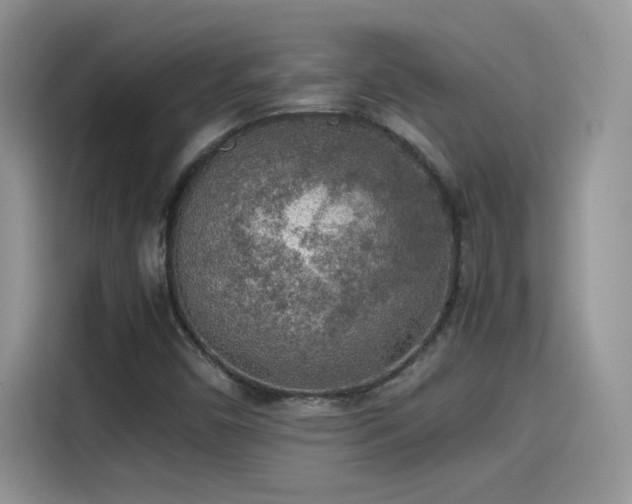 X0000115441450200911121114