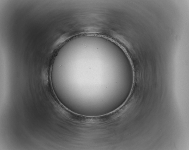 X0000115441451200911121114
