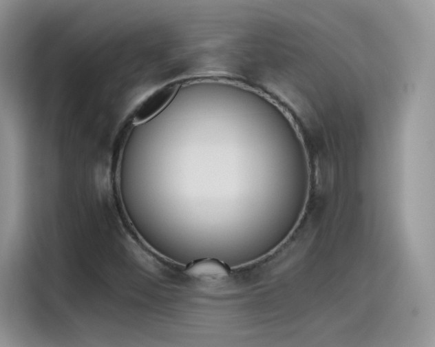 X0000115441452200911121114