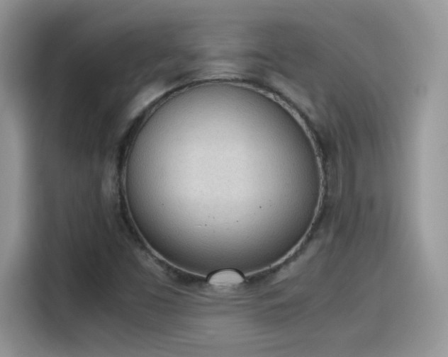 X0000115441453200911121114