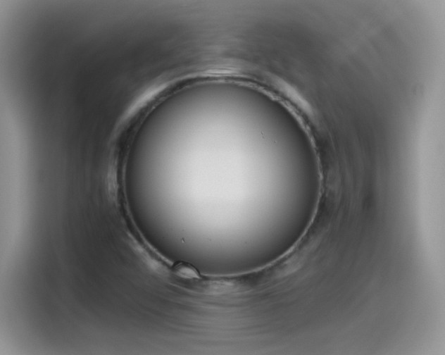 X0000115441456200911121113