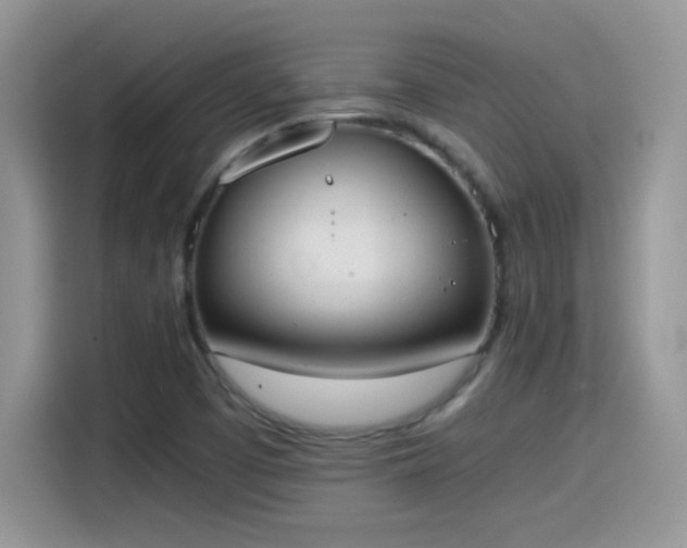 X0000115441457200911121113