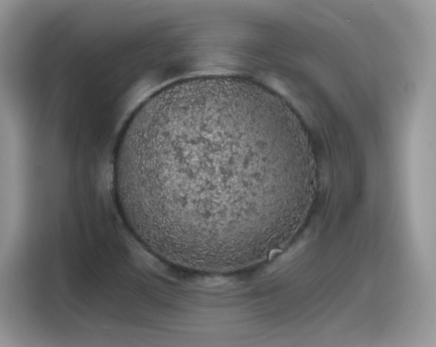 X0000115441459200911121113