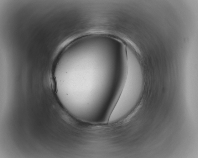 X0000115441461200911121113
