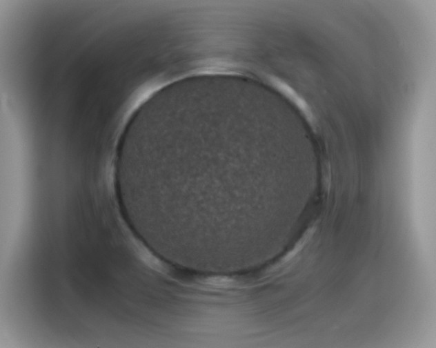 X0000115441463200911121113