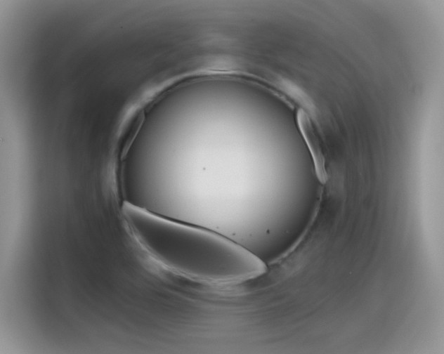 X0000115441464200911121113