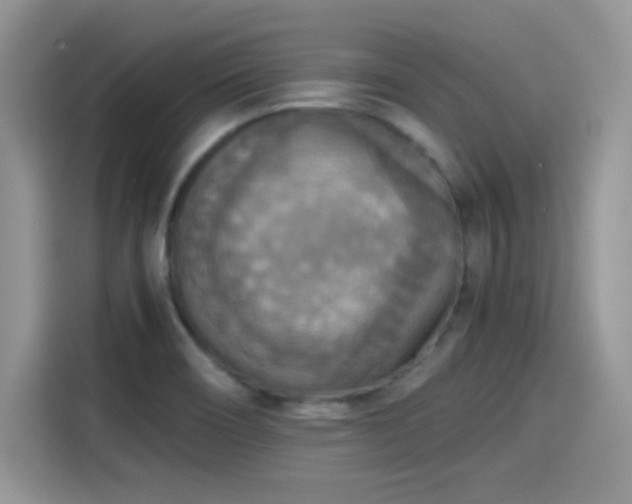 X0000115441466200911121113