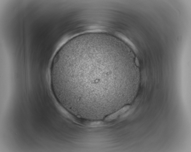 X0000115441467200911121113