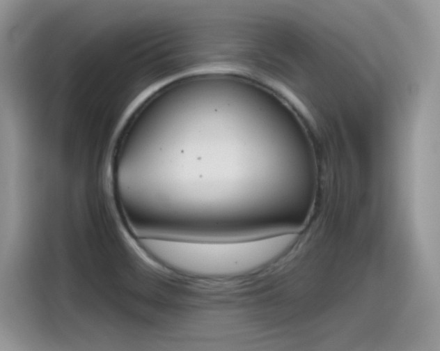 X0000115441468200911121113