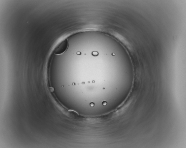 X0000115441469200911121113