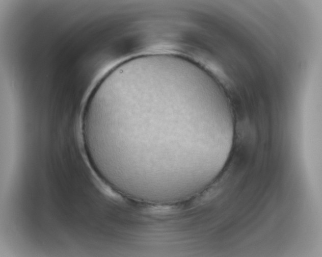 X0000115441470200911121113