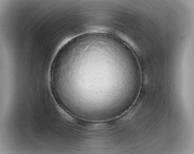X0000115441471200911121113
