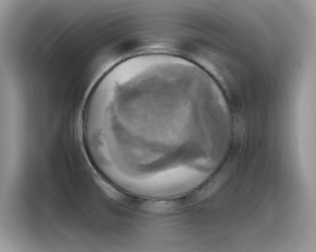 X0000115441474200911121113