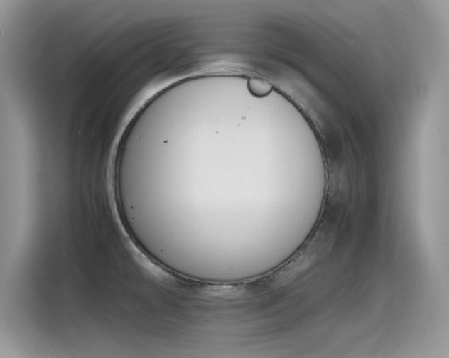X0000115441478200911121113