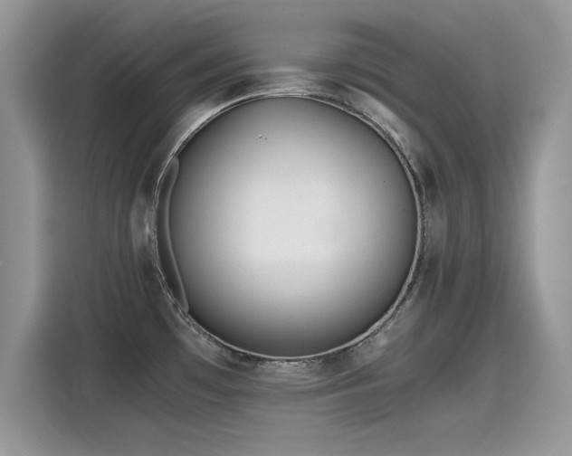 X0000115441481200911121113