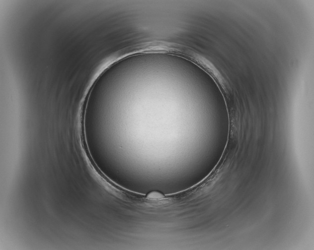X0000115441483200911121113