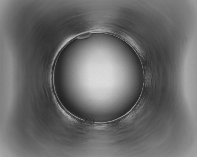 X0000115441484200911121113