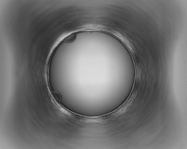 X0000115441486200911121113